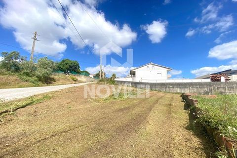Helårsgrund i Bidoeira de Cima, Leiria, Bidoeira de Cima - € 87.000 | Ref: 4626 - foto 7