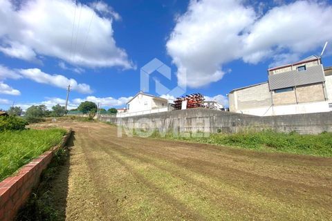 Helårsgrund i Bidoeira de Cima, Leiria, Bidoeira de Cima - € 87.000 | Ref: 4626 - foto 9