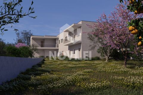 Helårsgrund i Bidoeira de Cima, Leiria, Bidoeira de Cima - € 87.000 | Ref: 4626 - foto 4