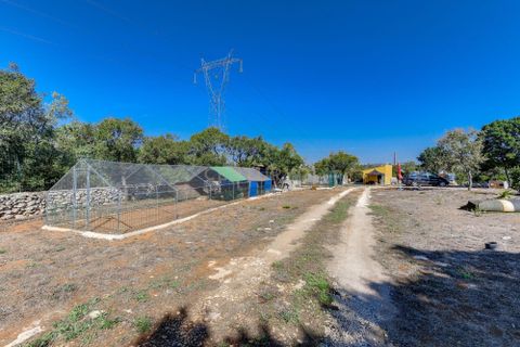 Helårsgrund i Alcobaca, Leiria, Alcobaca - € 190.000 | Ref: C0222-07092 - foto 18