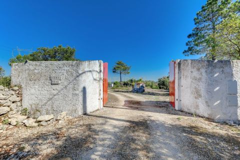 Helårsgrund i Alcobaca, Leiria, Alcobaca - € 190.000 | Ref: C0222-07092 - foto 25