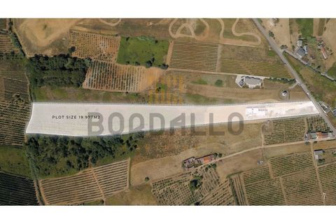 Villa i Carvalhal, Leiria, Carvalhal - € 1.390.000 | Ref: CAS_943_BS - foto 50