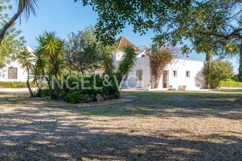 Villa i Tavira, Faro, Tavira - € 1.850.000 | Ref: W-049JCD - foto 1