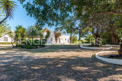 Villa i Tavira, Faro, Tavira - € 1.850.000 | Ref: W-049JCD - foto 22