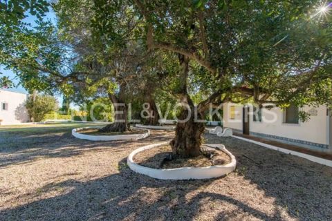 Villa i Tavira, Faro, Tavira - € 1.850.000 | Ref: W-049JCD - foto 23