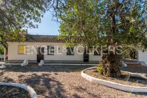 Villa i Tavira, Faro, Tavira - € 1.850.000 | Ref: W-049JCD - foto 24