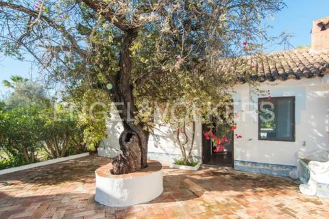 Villa i Tavira, Faro, Tavira - € 1.850.000 | Ref: W-049JCD - foto 49