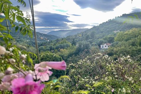 Terra a Saint-Blaise, Alpes-Maritimes, Saint-Blaise - € 205.000 | Ref: 87086671 - foto 2