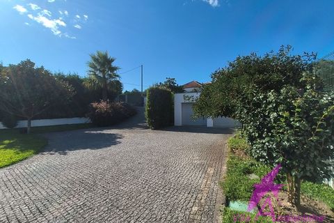 Villa i Viana do Castelo, Viana do Castelo, Viana do Castelo - € 450.000 | Ref: 72/2025 - foto 37