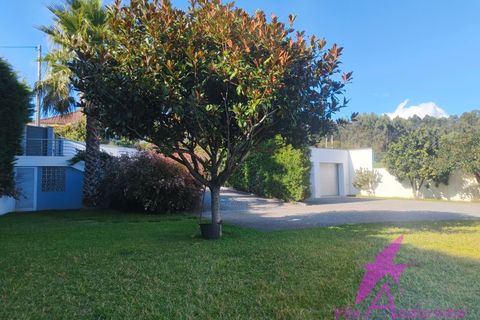 Villa i Viana do Castelo, Viana do Castelo, Viana do Castelo - € 450.000 | Ref: 72/2025 - foto 38