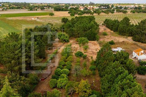 Villa i Palmela, Setubal, Palmela - € 995.000 | Ref: CAS_243 - foto 5