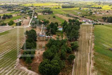 Villa i Palmela, Setubal, Palmela - € 995.000 | Ref: CAS_243 - foto 7
