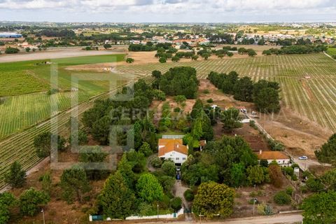 Villa i Palmela, Setubal, Palmela - € 995.000 | Ref: CAS_243 - foto 8