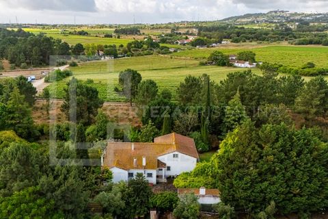 Villa i Palmela, Setubal, Palmela - € 995.000 | Ref: CAS_243 - foto 9