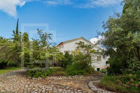 Villa i Palmela, Setubal, Palmela - € 995.000 | Ref: CAS_243 - foto 12