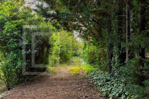 Villa i Palmela, Setubal, Palmela - € 995.000 | Ref: CAS_243 - foto 38