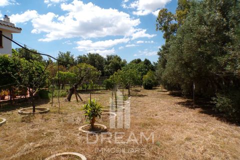 Villa a Soleminis, Sud Sardegna, Soleminis - € 350.000 | Ref: A833 - foto 14