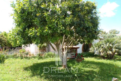 Villa a Soleminis, Sud Sardegna, Soleminis - € 350.000 | Ref: A833 - foto 22