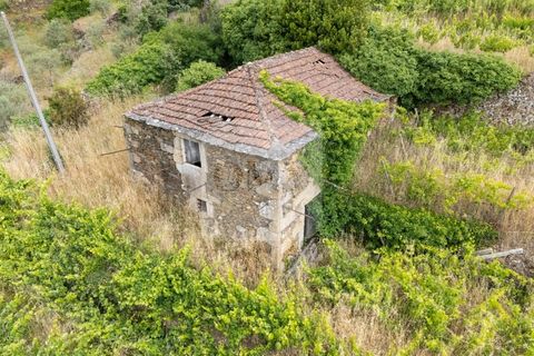 Farm i Vila Real, Vila Real, Vila Real - € 80.000 | Ref: MAS_1173 - foto 2