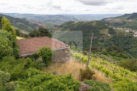 Farm i Vila Real, Vila Real, Vila Real - € 80.000 | Ref: MAS_1173 - foto 5