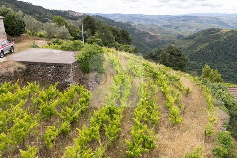 Farm i Vila Real, Vila Real, Vila Real - € 80.000 | Ref: MAS_1173 - foto 6