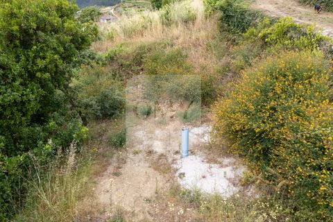 Farm i Vila Real, Vila Real, Vila Real - € 80.000 | Ref: MAS_1173 - foto 8
