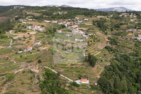 Farm i Vila Real, Vila Real, Vila Real - € 80.000 | Ref: MAS_1173 - foto 10