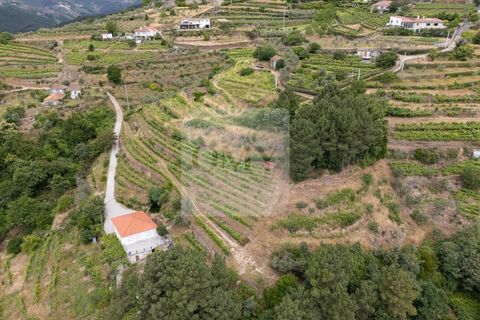 Farm i Vila Real, Vila Real, Vila Real - € 80.000 | Ref: MAS_1173 - foto 11