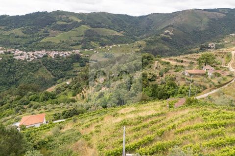 Farm i Vila Real, Vila Real, Vila Real - € 80.000 | Ref: MAS_1173 - foto 14