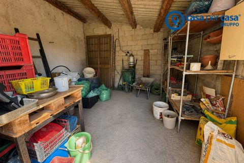 Villa i Papozze, Rovigo, Papozze - € 115.000 | Ref: ADL320 - foto 26