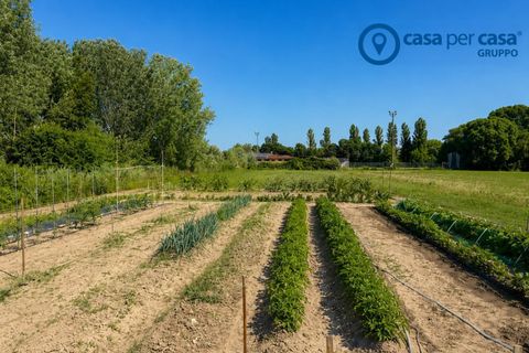 Villa i Papozze, Rovigo, Papozze - € 115.000 | Ref: ADL320 - foto 27