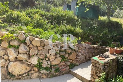 Gård i Gois, Coimbra, Gois - € 380 000 | Ref: CR0781 - foto 15