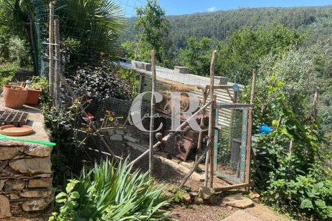 Gård i Gois, Coimbra, Gois - € 380 000 | Ref: CR0781 - foto 16