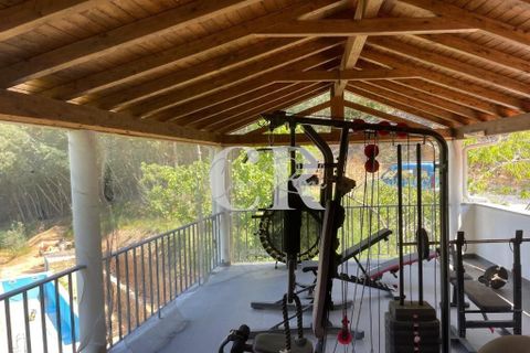 Gård i Gois, Coimbra, Gois - € 380 000 | Ref: CR0781 - foto 25