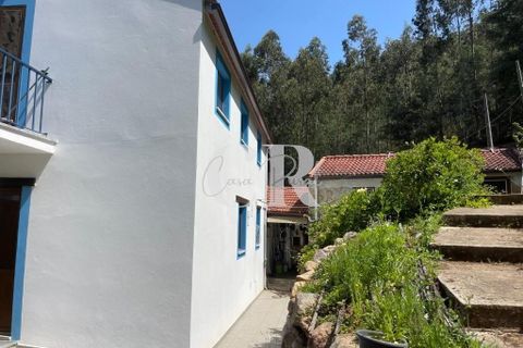 Gård i Gois, Coimbra, Gois - € 380 000 | Ref: CR0781 - foto 31