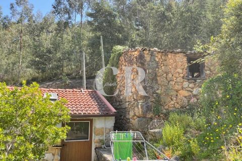 Gård i Gois, Coimbra, Gois - € 380 000 | Ref: CR0781 - foto 32