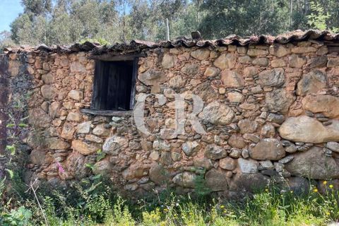 Gård i Gois, Coimbra, Gois - € 380 000 | Ref: CR0781 - foto 33