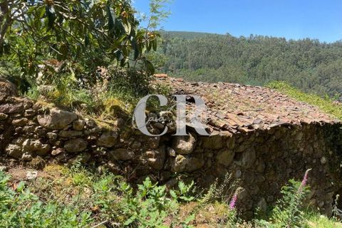 Gård i Gois, Coimbra, Gois - € 380 000 | Ref: CR0781 - foto 34