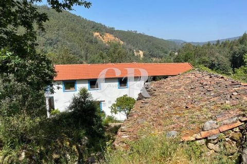 Gård i Gois, Coimbra, Gois - € 380 000 | Ref: CR0781 - foto 35