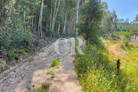 Gård i Gois, Coimbra, Gois - € 380 000 | Ref: CR0781 - foto 38