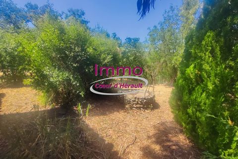 Villa a Le Bosc, Herault, Le Bosc - € 192.000 | Ref: 343082318 - foto 3
