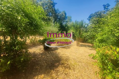 Villa a Le Bosc, Herault, Le Bosc - € 192.000 | Ref: 343082318 - foto 4
