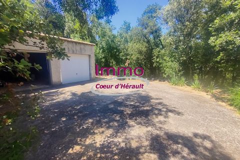 Villa a Le Bosc, Herault, Le Bosc - € 192.000 | Ref: 343082318 - foto 5