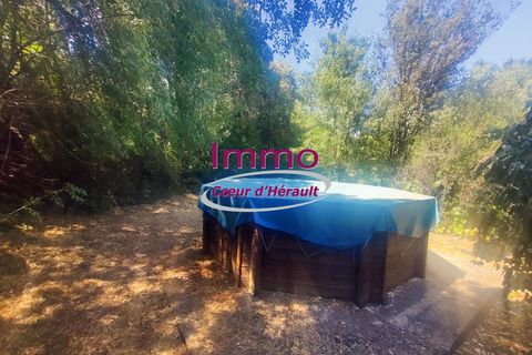 Villa a Le Bosc, Herault, Le Bosc - € 192.000 | Ref: 343082318 - foto 9