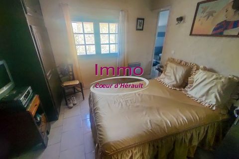 Villa a Le Bosc, Herault, Le Bosc - € 192.000 | Ref: 343082318 - foto 13