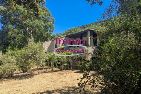 Villa em Le Bosc, Herault, Le Bosc - € 192.000 | Ref: 343082318 - foto 1