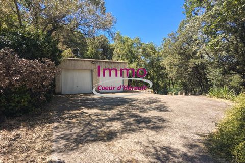 Villa em Le Bosc, Herault, Le Bosc - € 192.000 | Ref: 343082318 - foto 5
