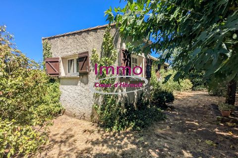 Villa em Le Bosc, Herault, Le Bosc - € 192.000 | Ref: 343082318 - foto 8