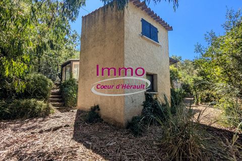 Villa em Le Bosc, Herault, Le Bosc - € 192.000 | Ref: 343082318 - foto 9