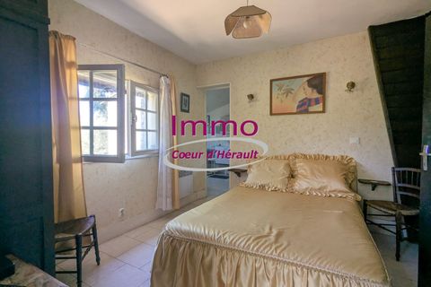 Villa em Le Bosc, Herault, Le Bosc - € 192.000 | Ref: 343082318 - foto 11